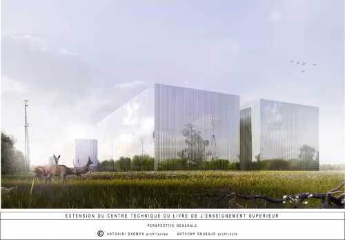 Project perspective