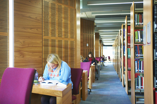 North side of extension - Individual study areas