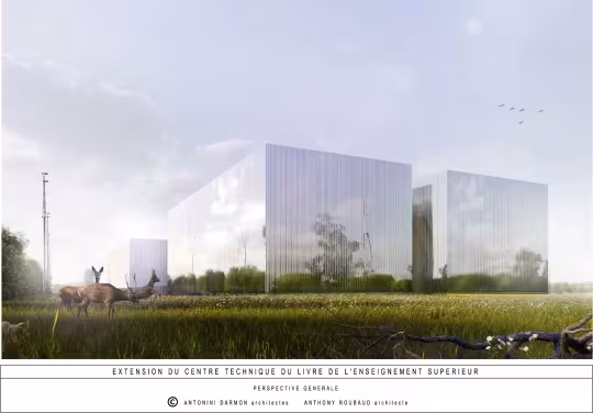 Project perspective