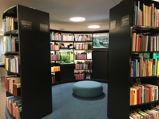Reading area, Middelfart