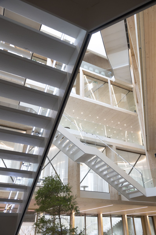 interior public library in barcelona