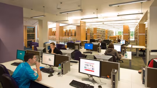 Study area