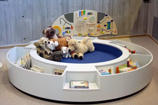 Baby book bath
