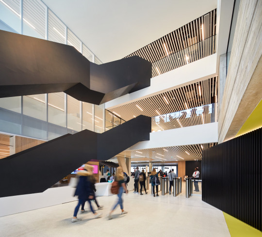 Library stairs