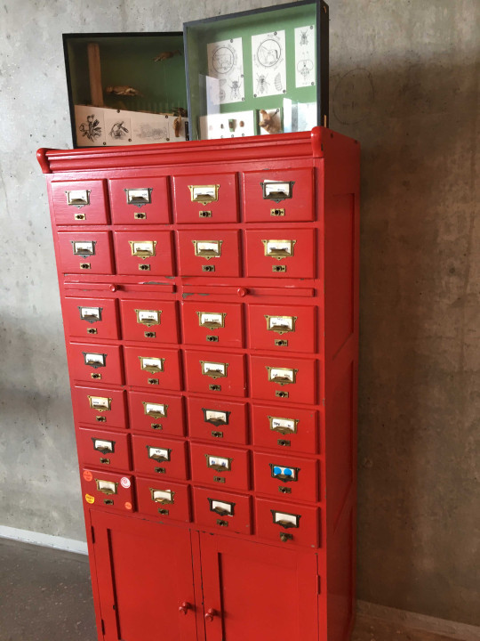 Tingbjerg, a new use for the card catalogue cabinet