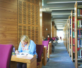 North side of extension - Individual study areas