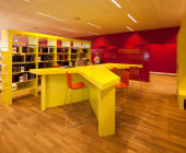 Molde library. Popkult