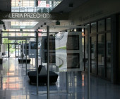 Passer by Gallery, Oswiecim