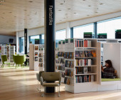 Fantasy section